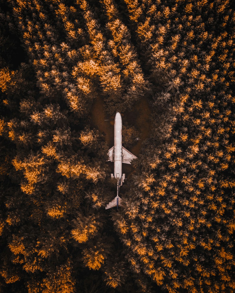 white airplane flying over green trees during daytime