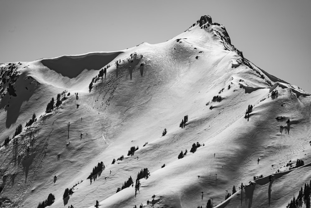 눈 덮인 산을 걷는 사람들의 그레이스케일 사진