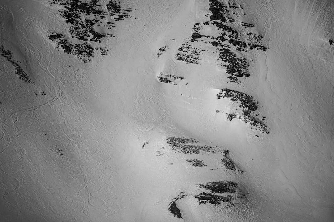 grayscale photo of snow covered trees