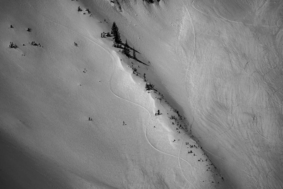 grayscale photo of people walking on sand