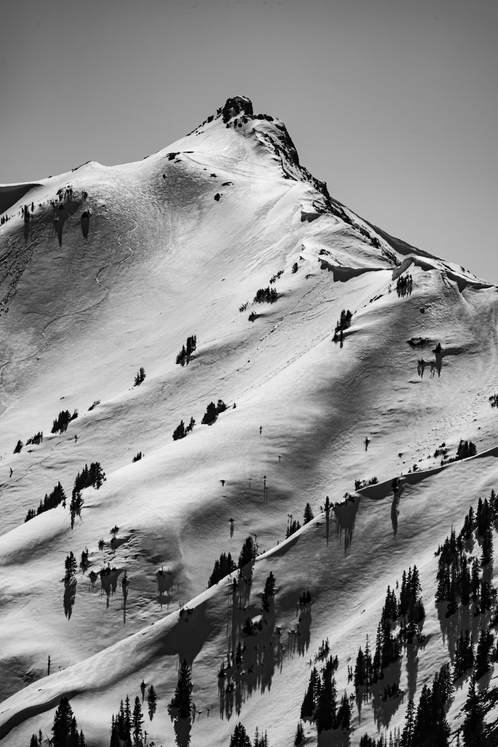 Foto en escala de grises de personas caminando sobre una montaña cubierta de nieve