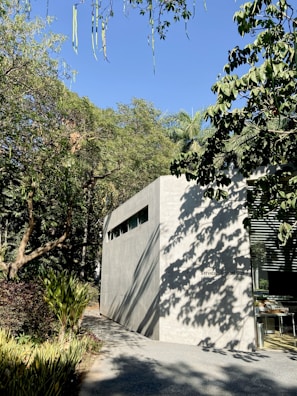 A modern concrete building is partially shaded by surrounding trees under a clear blue sky. The building has a minimalist design with a long horizontal window and the words 'Servicios educativos' can be seen on its side. The dense foliage creates intricate shadows on the building's surface.