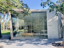 A modern architectural structure with large glass windows surrounded by lush greenery. The building has a minimalist concrete facade with the word 'Auditorio' displayed on one side. Sunlight filters through the branches of nearby trees casting intricate shadows on the structure.