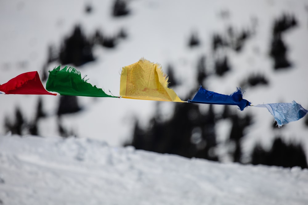 yellow leaf on snow covered ground during daytime