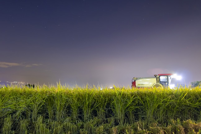 A tractor sits in a field of tall green crops under a clear night sky. Bright lights are visible on the tractor, casting illumination over the crops.