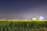 A tractor sits in a field of tall green crops under a clear night sky. Bright lights are visible on the tractor, casting illumination over the crops.