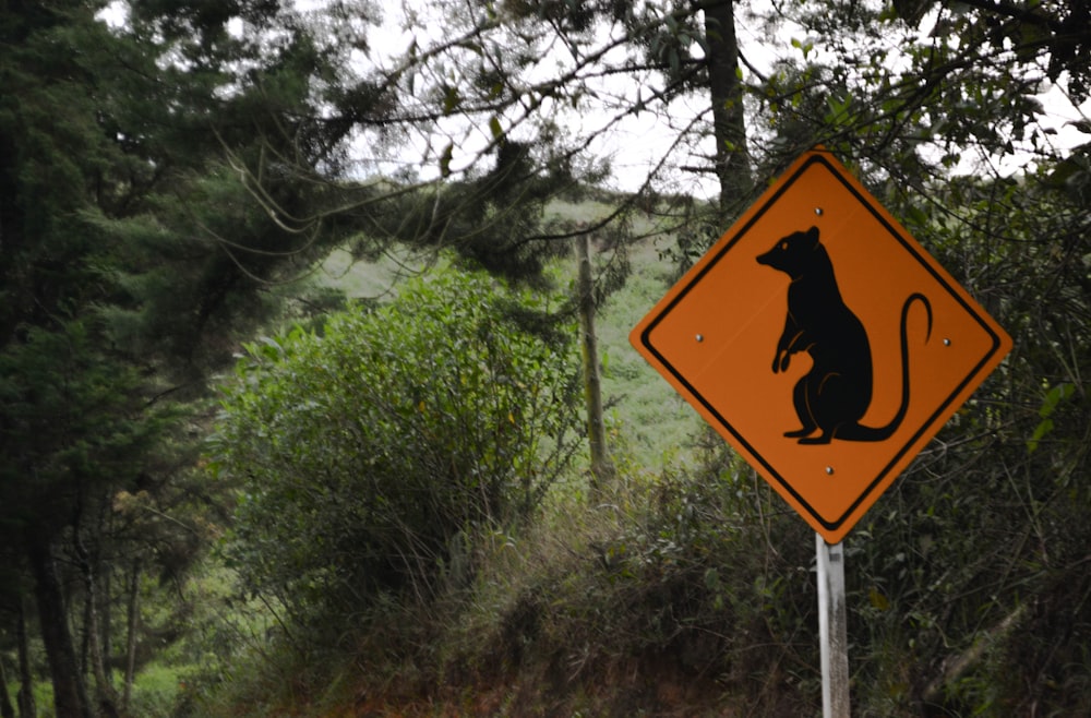 yellow and black road sign