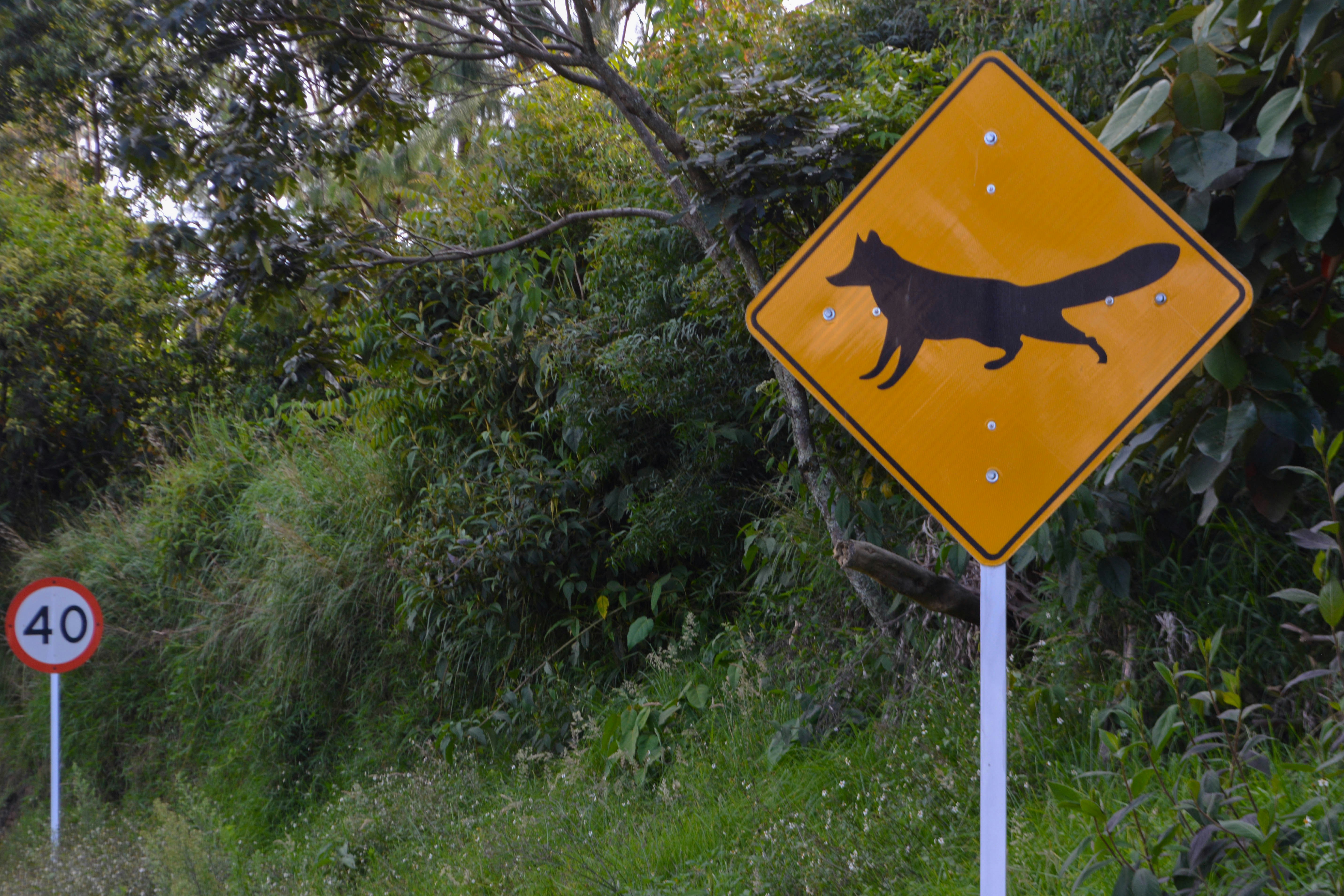 Photo by daviddcortess