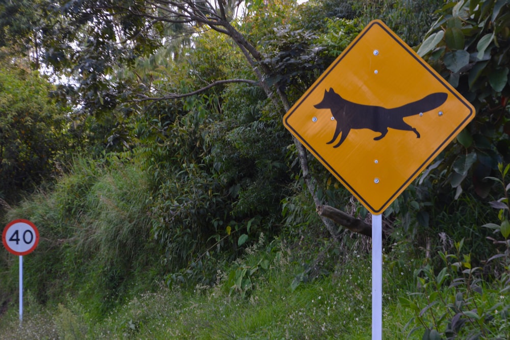 yellow and black road sign