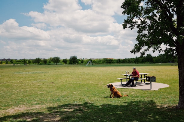 A cozy scene of a person and their dog enjoying a sunny park together.