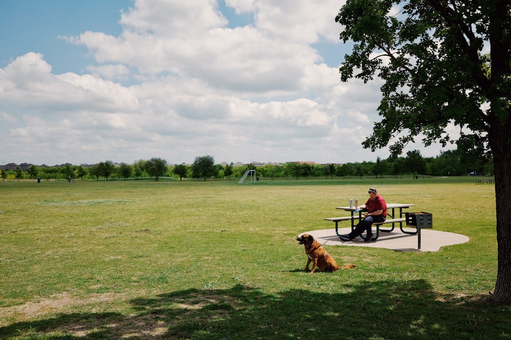 man and woman sitting on bench beside brown dog on green grass field during daytime