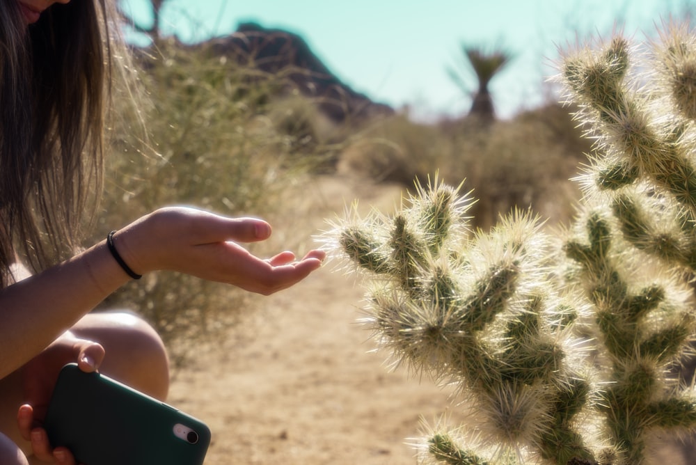 person holding green and white plant during daytime