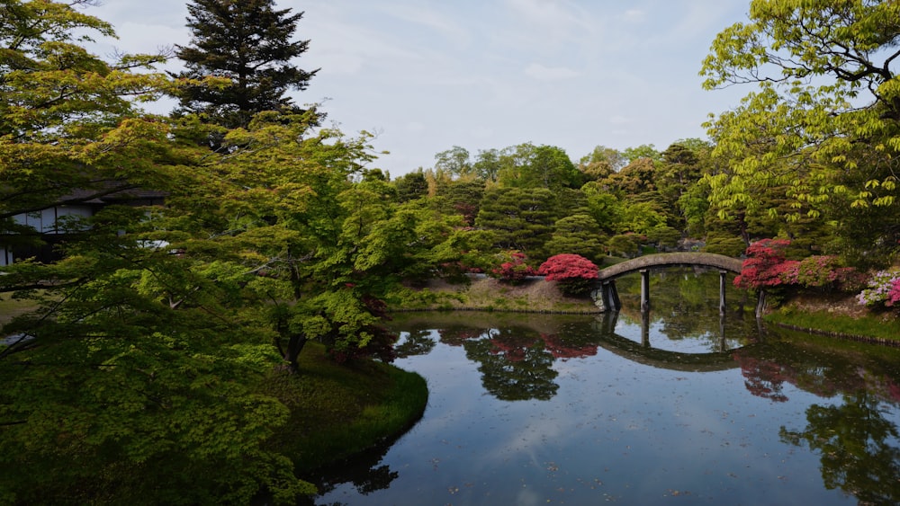 昼間は白い雲の下、川沿いの緑の木々