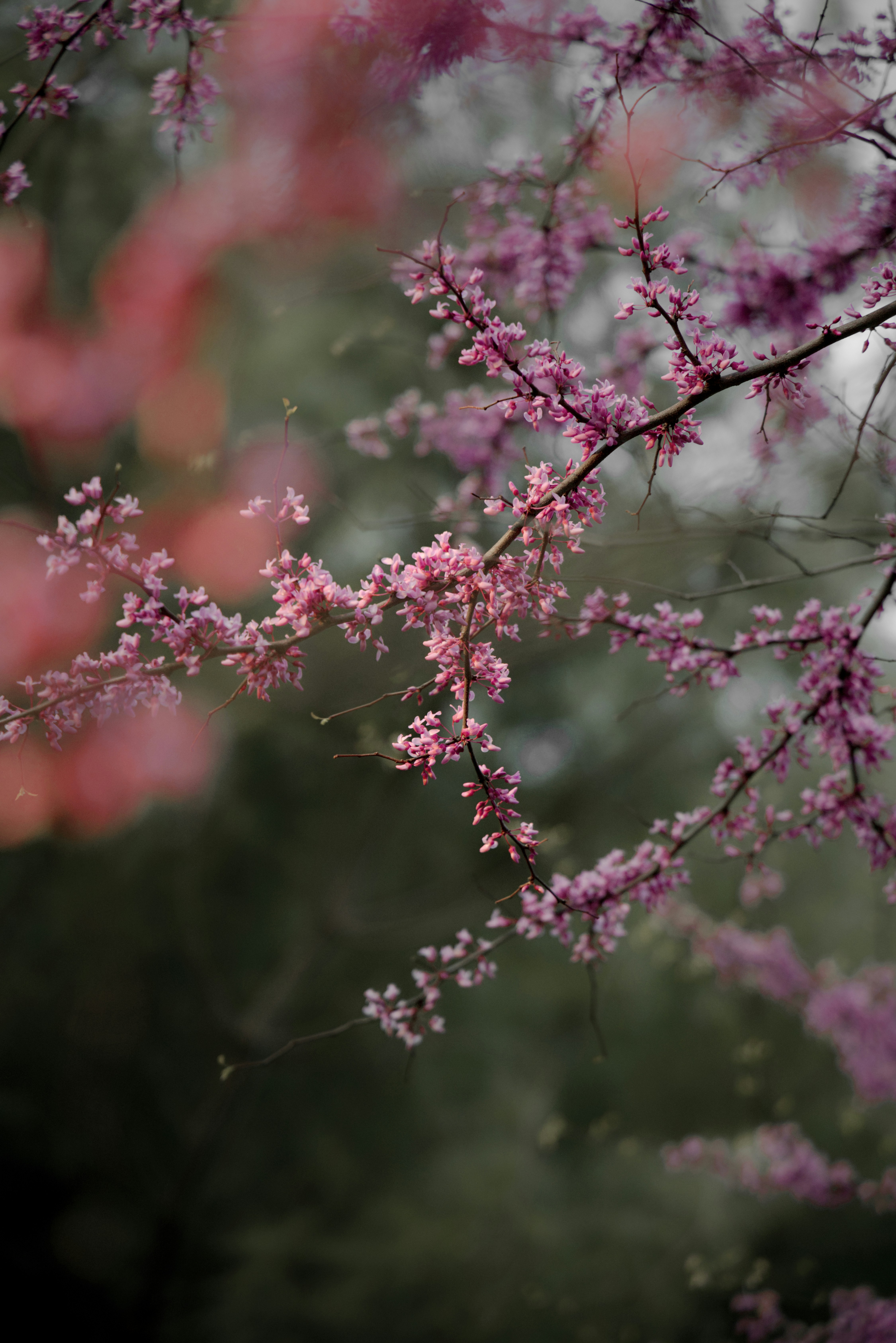 Photo by ldpeterson11