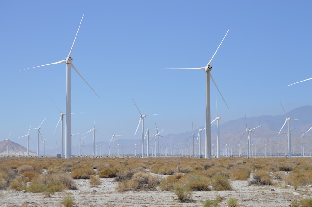 white wind turbines on brown field under blue sky during daytime