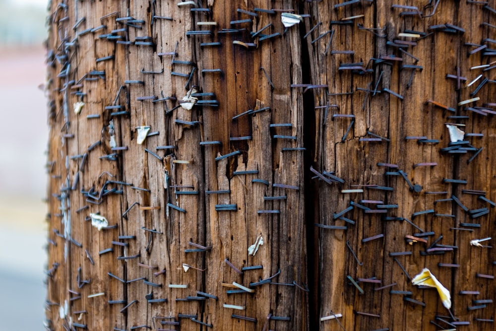 brown wooden fence during daytime