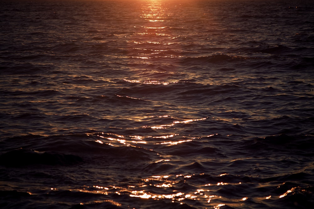 Gewässer bei Sonnenuntergang