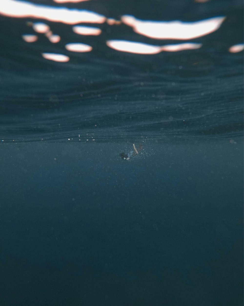 water droplets on blue surface