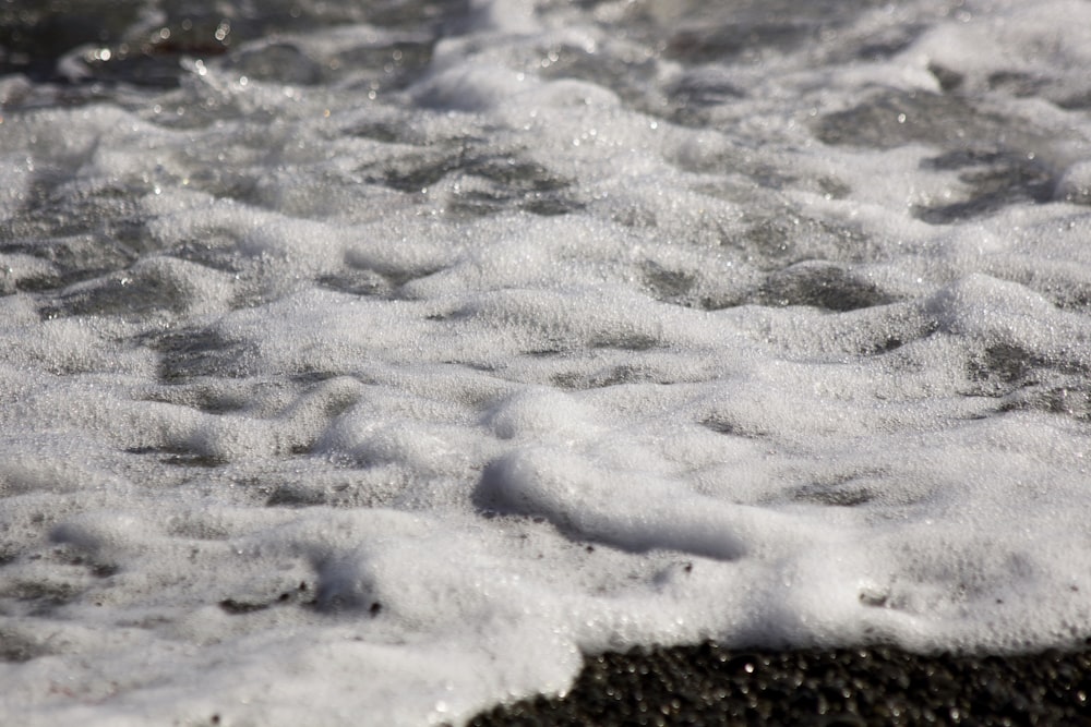 snow covered ground during daytime