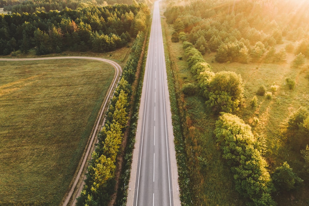 gray asphalt road between green grass field during daytime