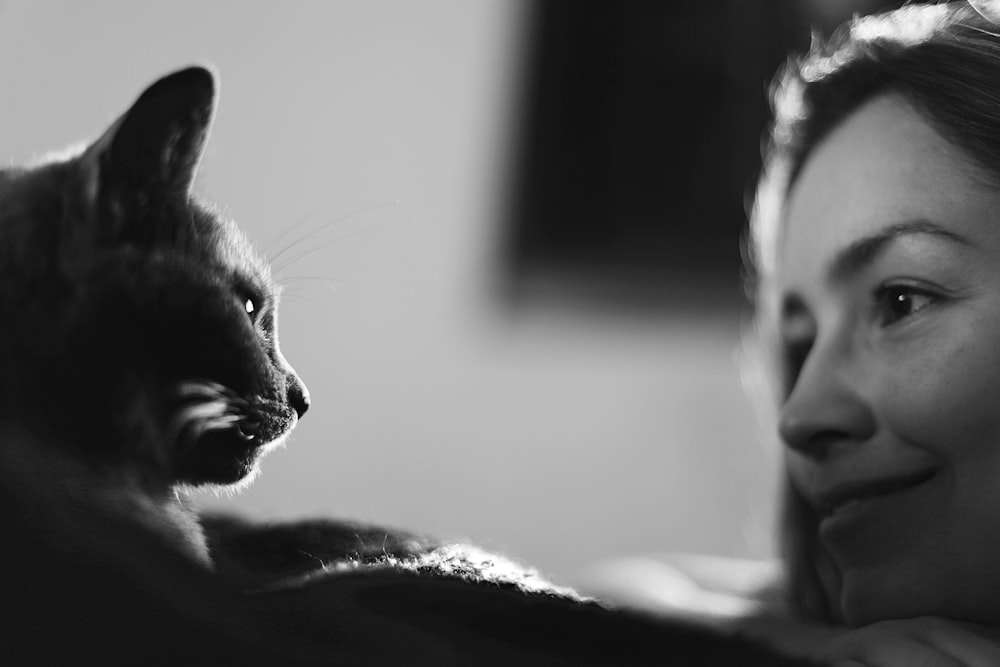 cat on bed in grayscale photography