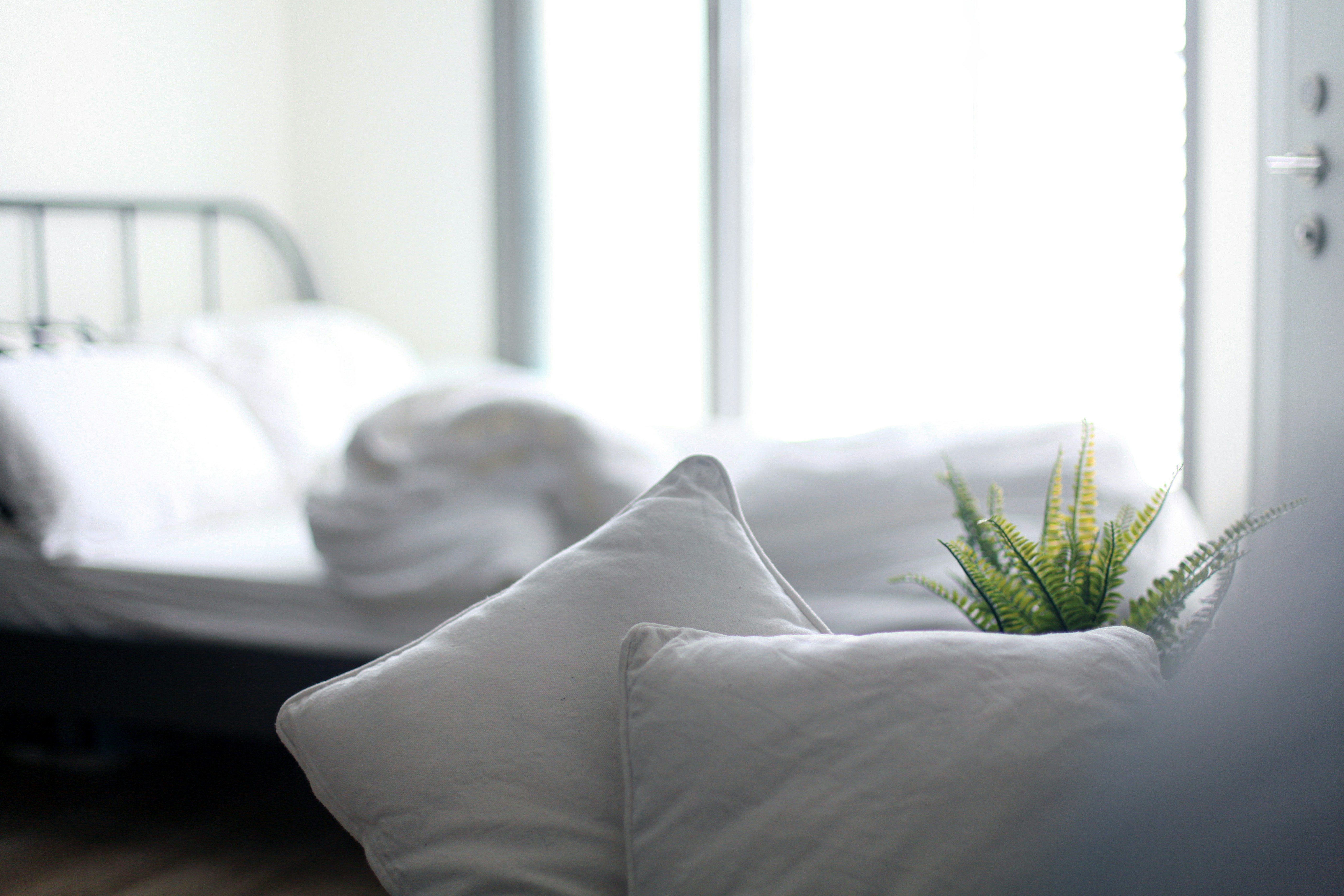 Photo by tamarushphotos