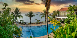 swimming pool near palm trees during sunset