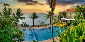 swimming pool near palm trees during sunset