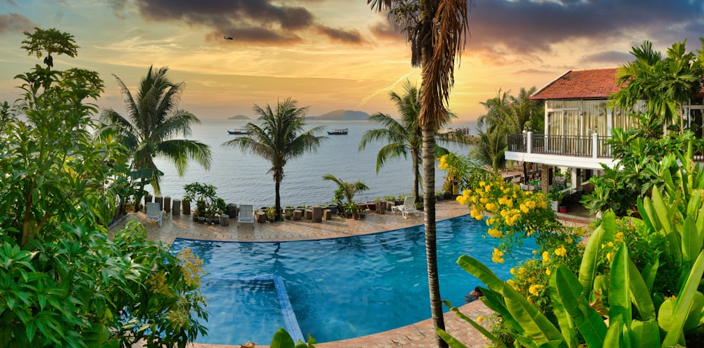 swimming pool near palm trees during sunset