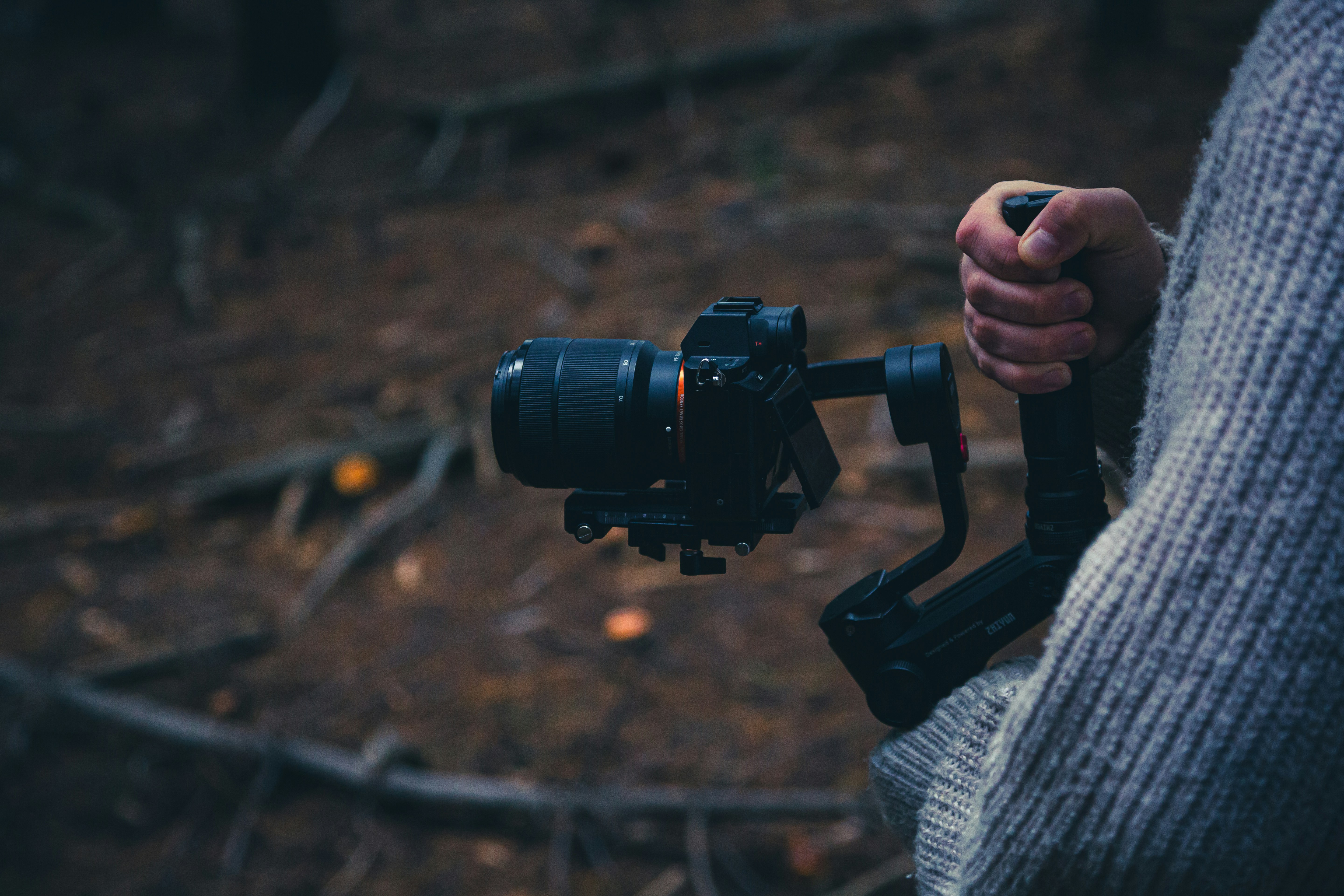 Photo by saxon_white