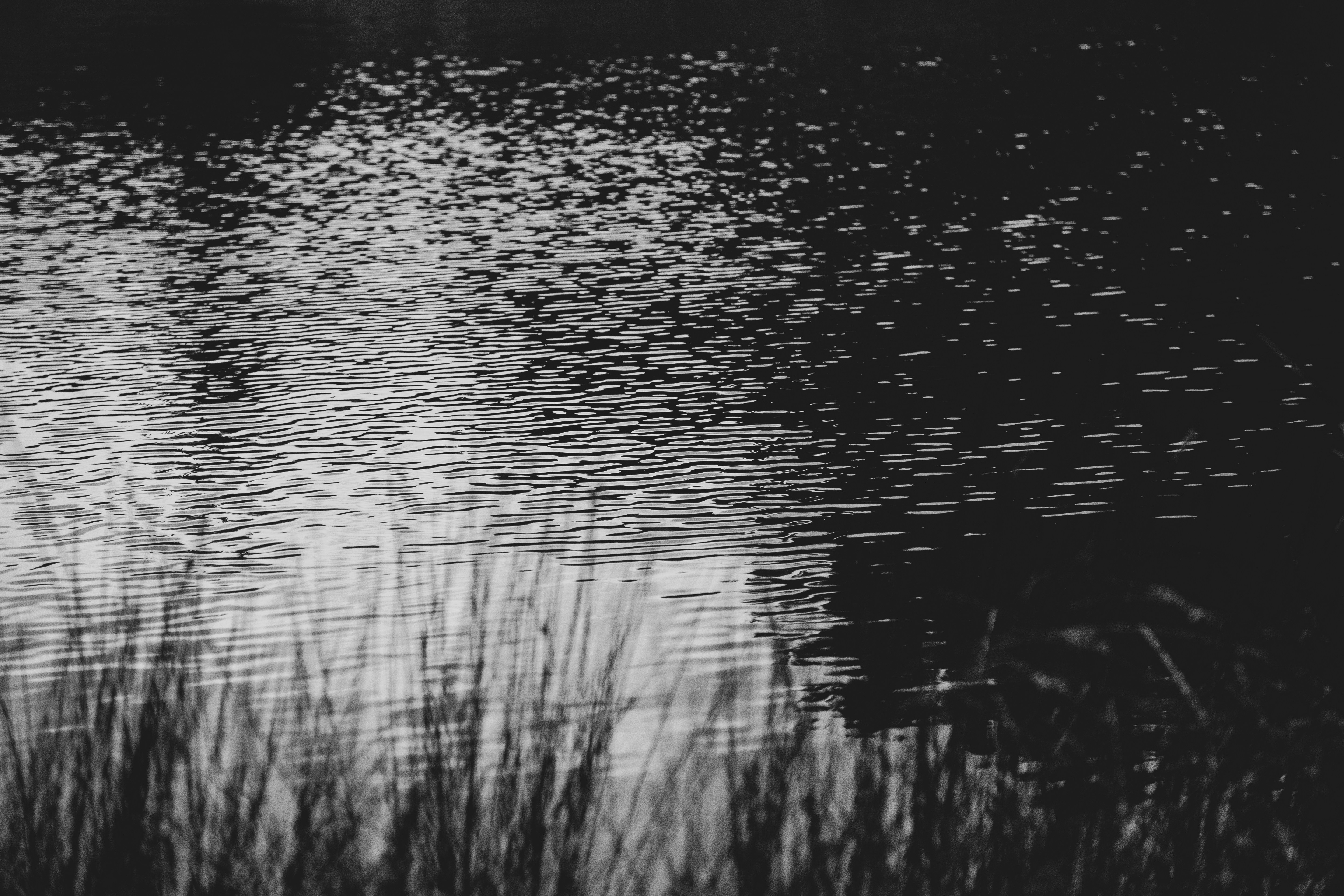 Photo by saxon_white