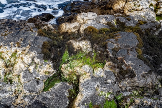 Rough, weathered coastal rocks covered in patches of green moss and surrounded by frothy ocean waves.