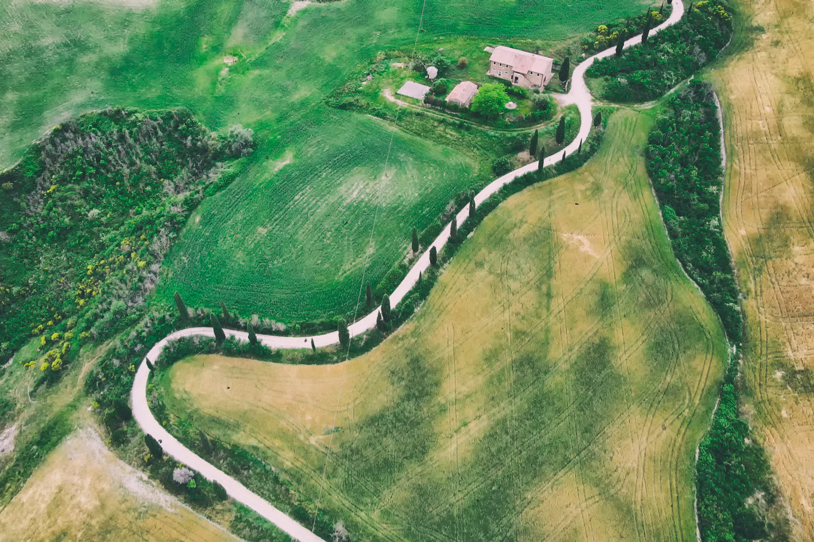 Tuscan cypress road from above