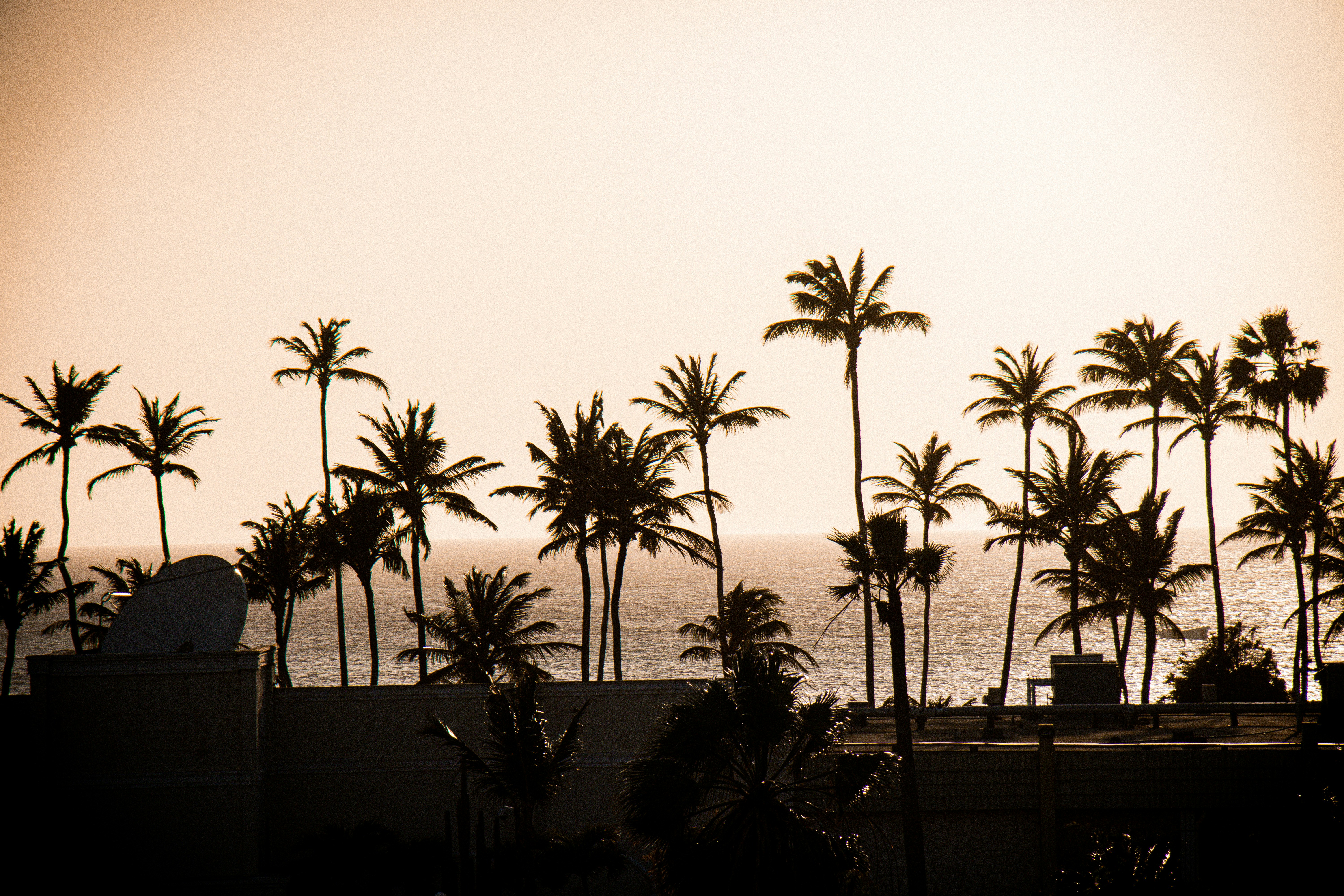 Photo by creativitymedia297