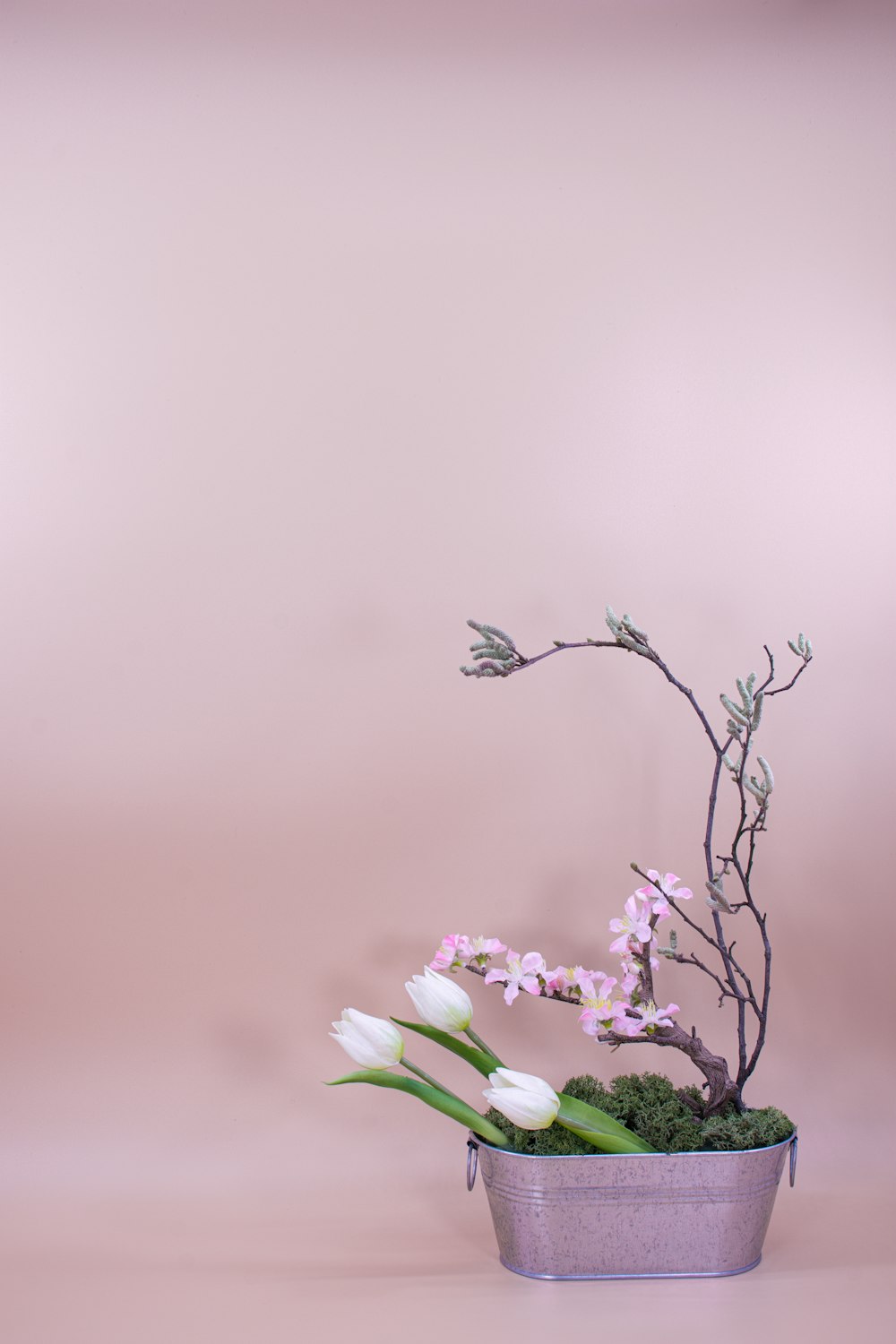 purple flowers in tilt shift lens