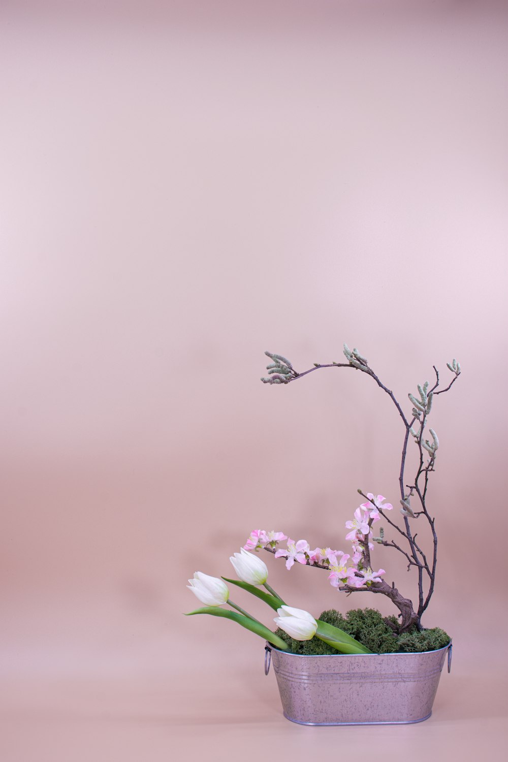 Fleurs violettes dans lentille à décalage inclinable