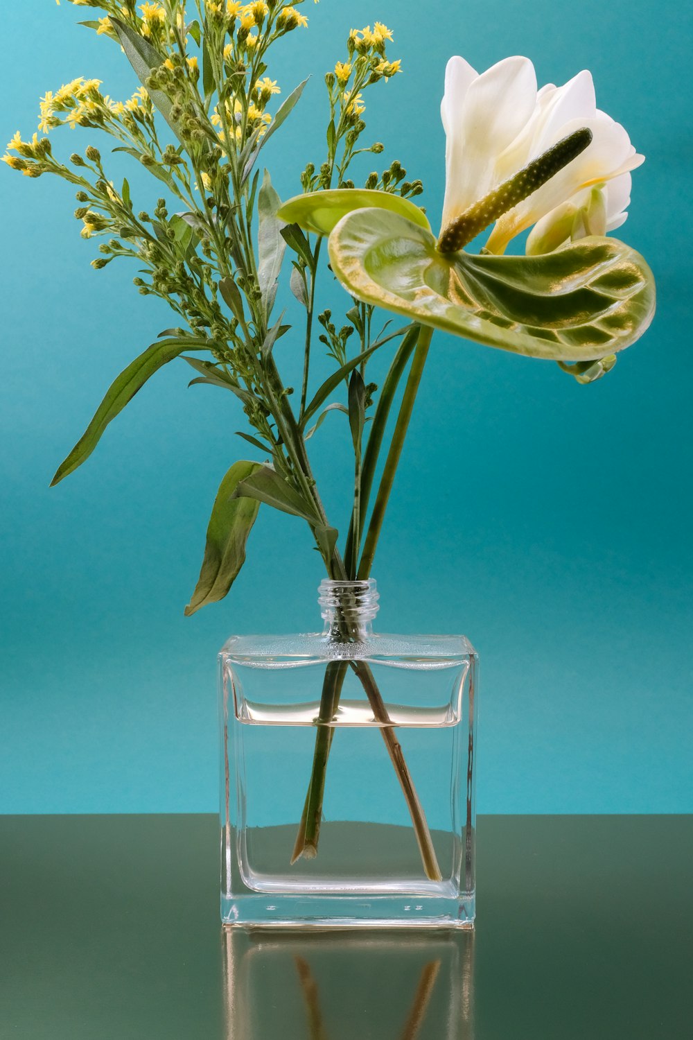 yellow tulips in clear glass vase