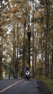 A motorcyclist wearing a helmet riding on a winding road surrounded by trees.
