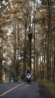 A motorcyclist wearing a matte grey helmet riding through a forested road at sunset.