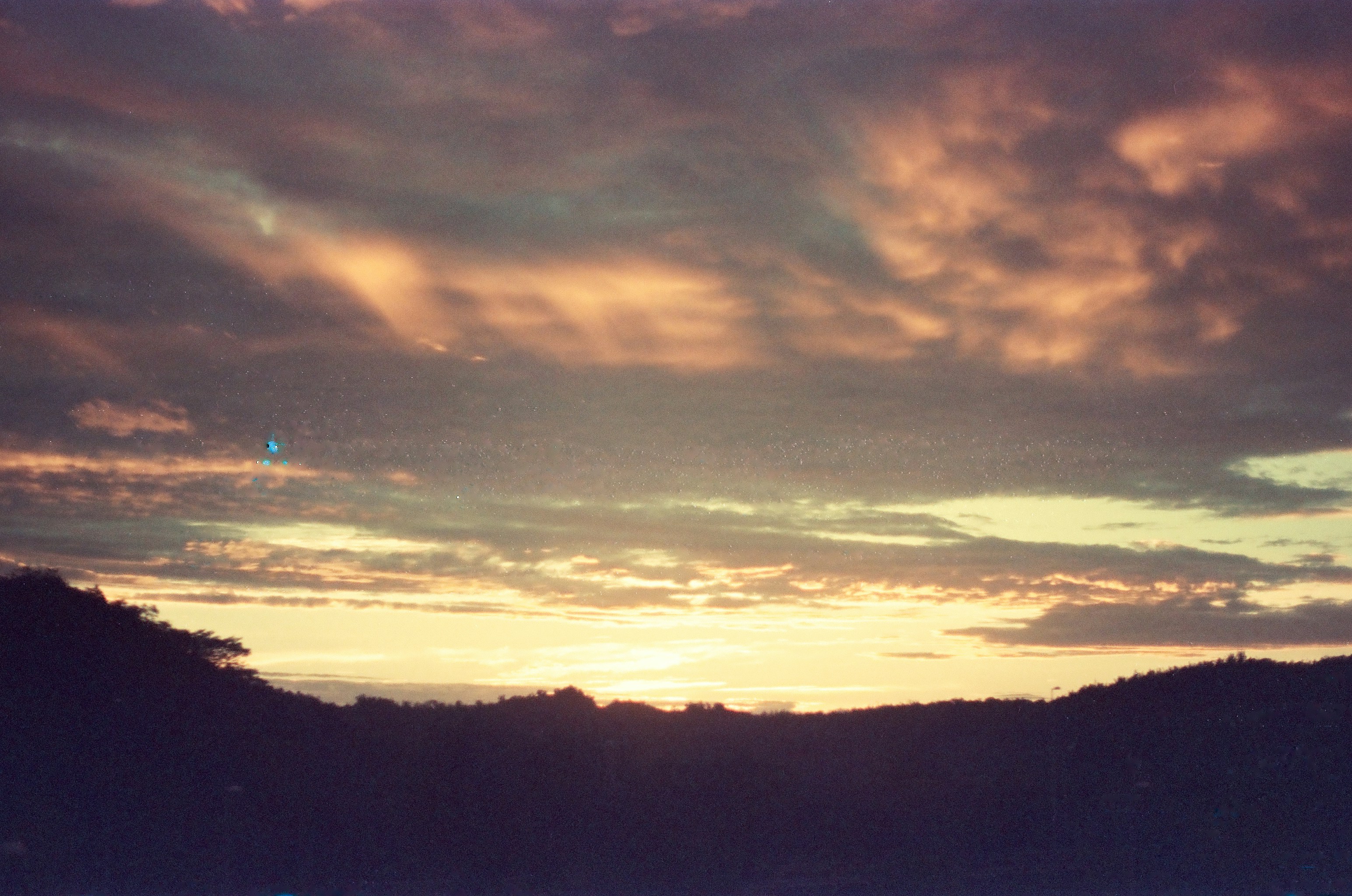 silhouette of trees during sunset