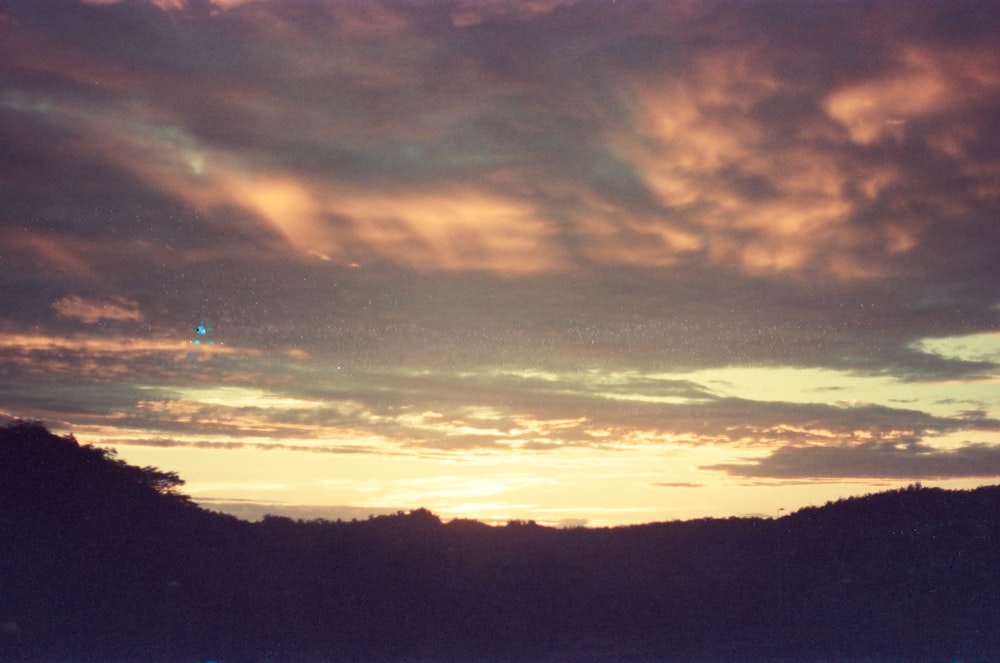 silhouette of trees during sunset