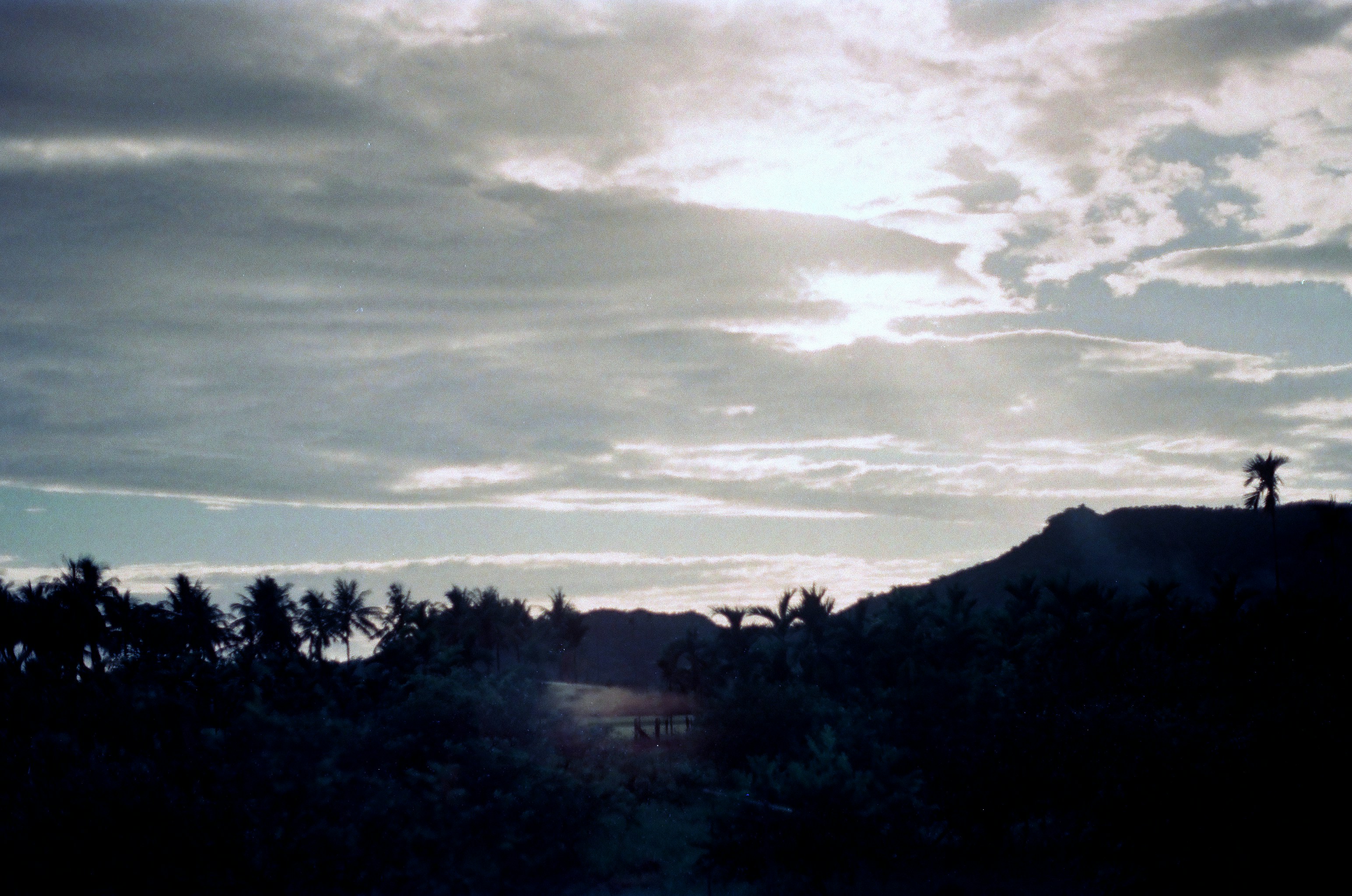 green trees under white clouds during daytime