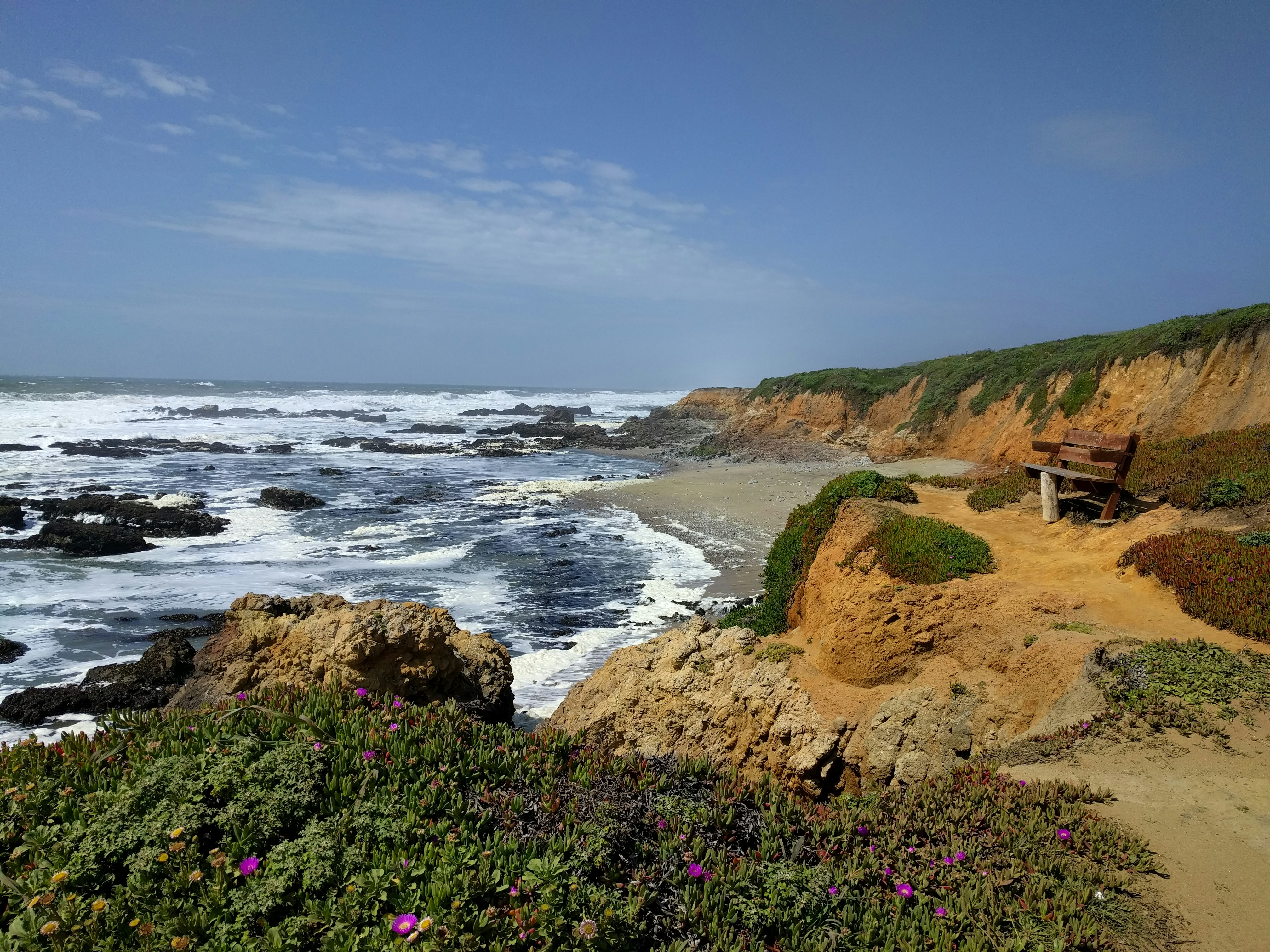 Purple flowers on brown rock formation by the sea under blue sky during daytime