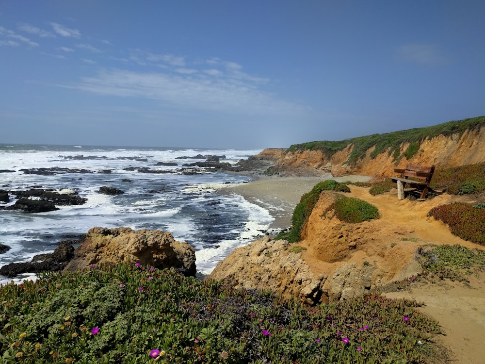 purple flowers on brown rock formation by the sea under blue sky during daytime