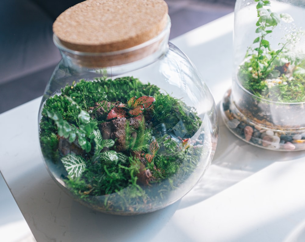 透明なガラス瓶に入った緑と茶色の野菜