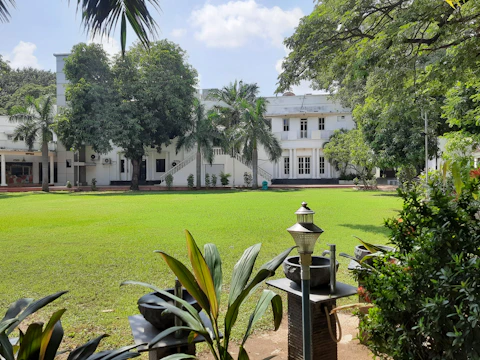 An 18th-century Nevis plantation house bathed in warm morning light with lush tropical greenery surrounding.