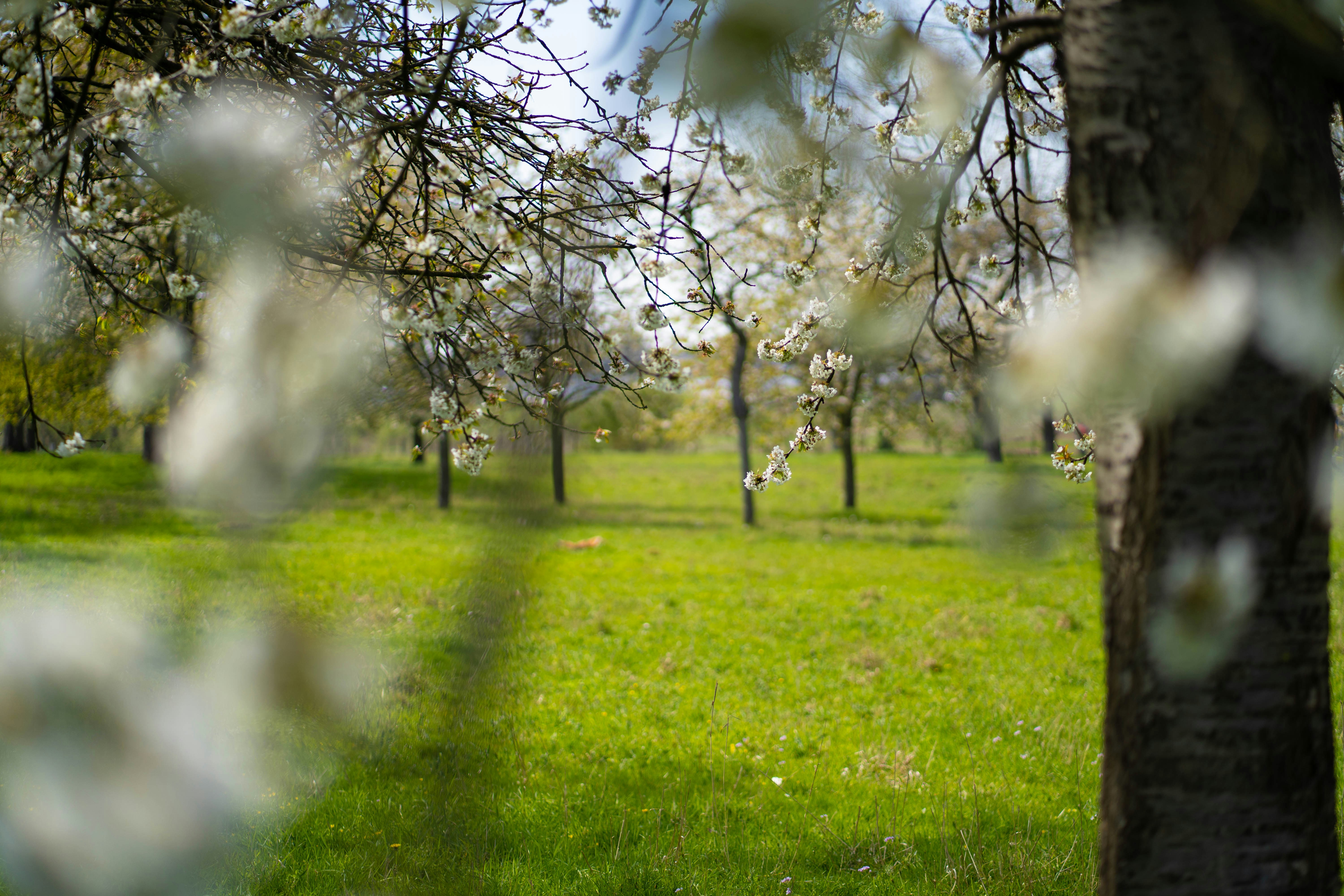 Photo by michelstock