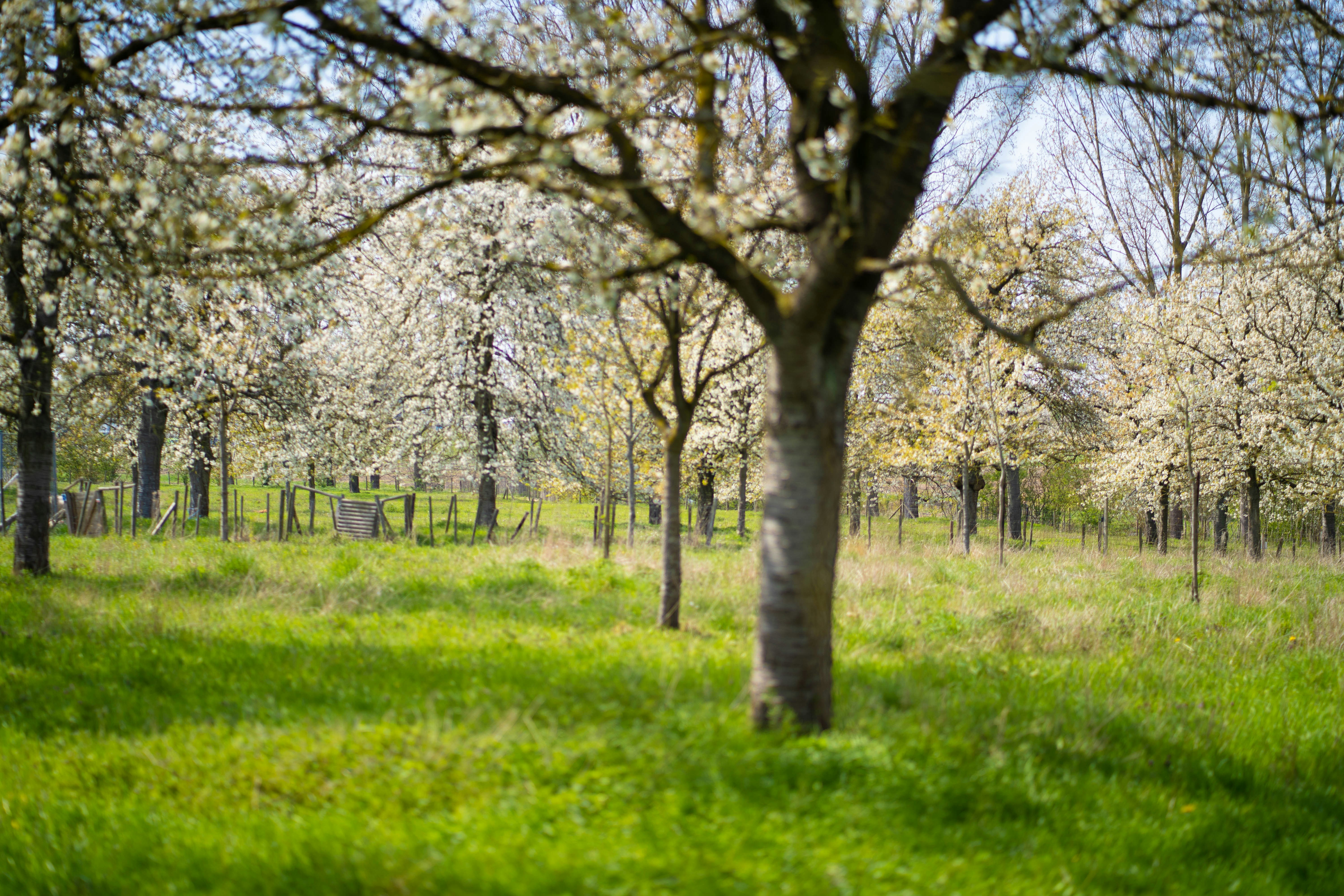 Photo by michelstock