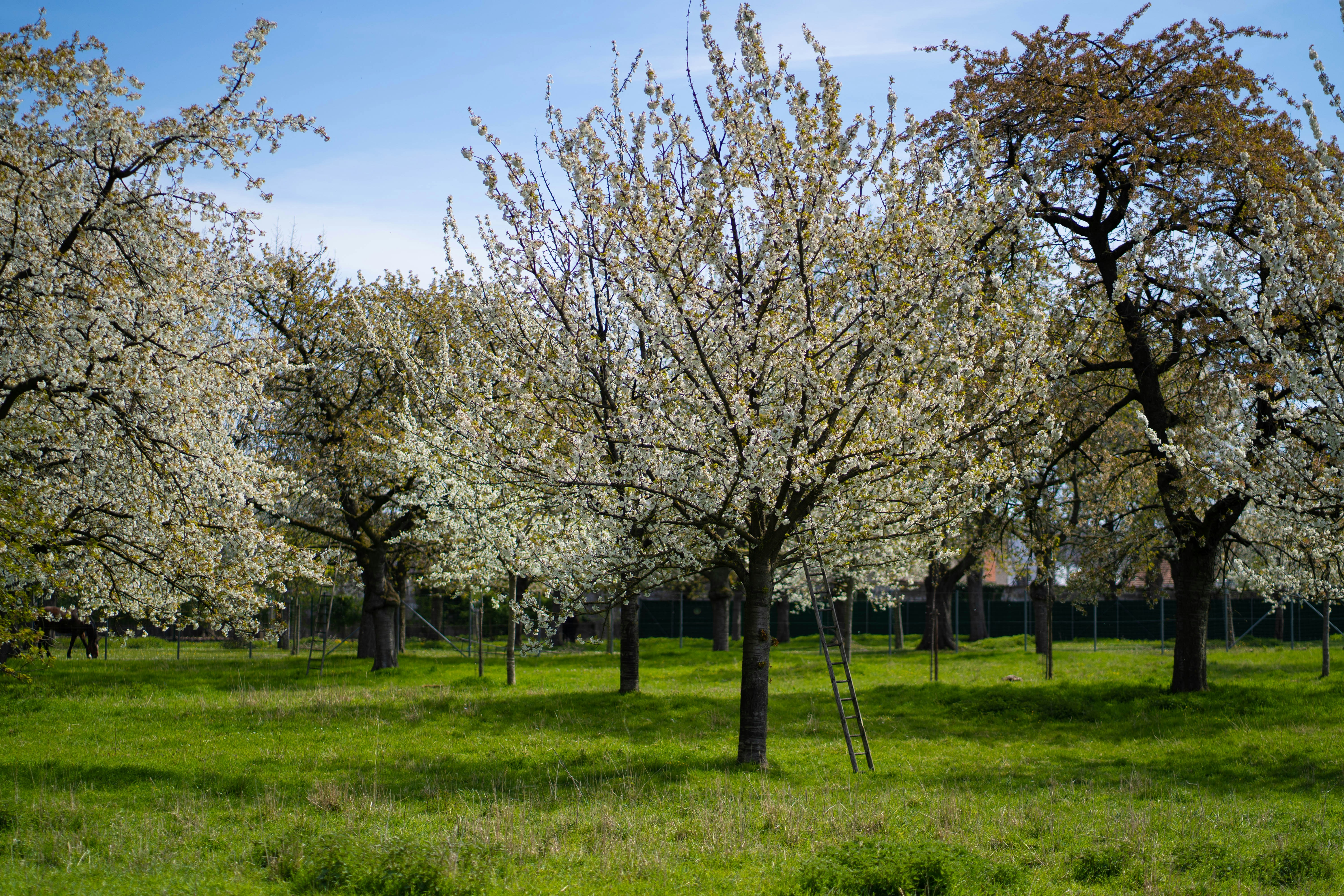 Photo by michelstock