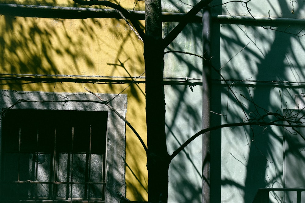 Cadre de fenêtre en métal noir sur mur de béton jaune